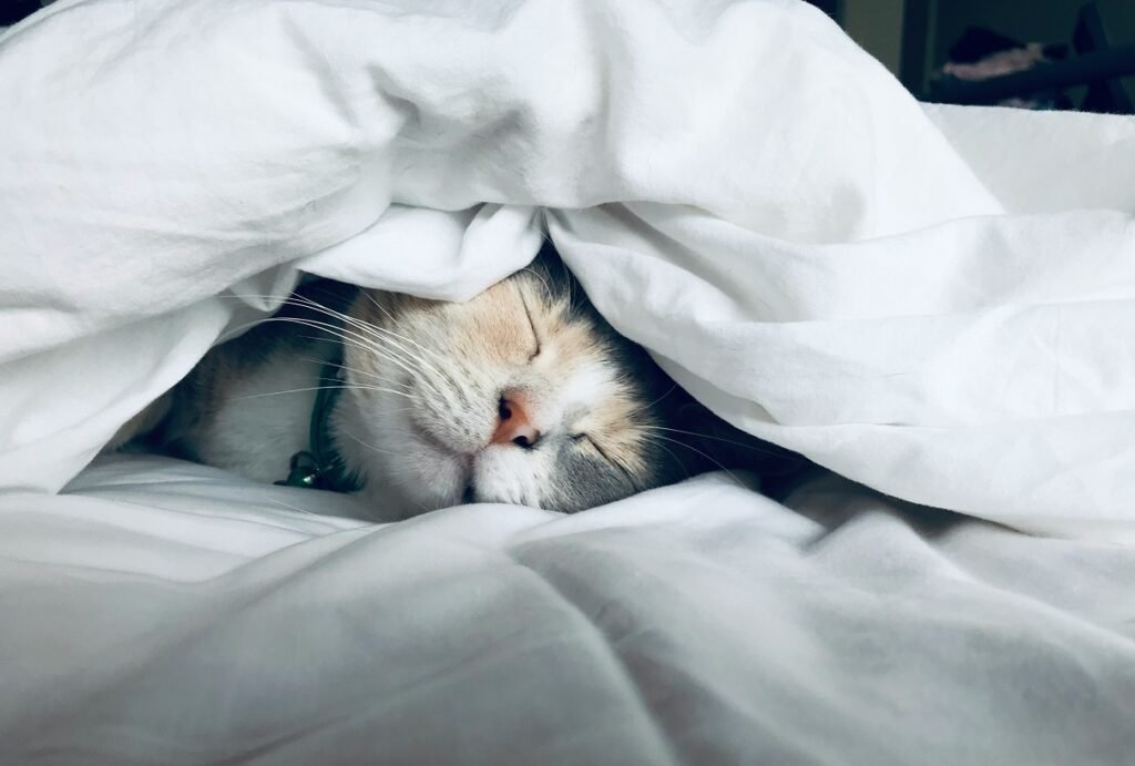 switch on diet, sleep well